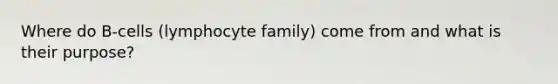 Where do B-cells (lymphocyte family) come from and what is their purpose?