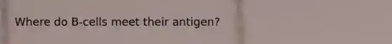 Where do B-cells meet their antigen?