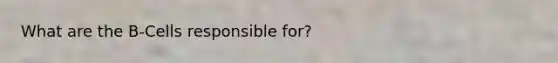 What are the B-Cells responsible for?