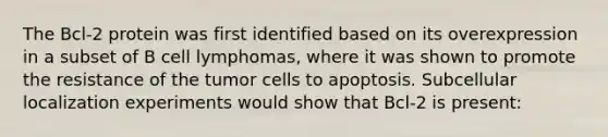 The Bcl-2 protein was first identified based on its overexpression in a subset of B cell lymphomas, where it was shown to promote the resistance of the tumor cells to apoptosis. Subcellular localization experiments would show that Bcl-2 is present: