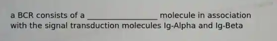 a BCR consists of a __________________ molecule in association with the signal transduction molecules Ig-Alpha and Ig-Beta