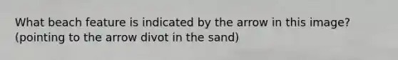 What beach feature is indicated by the arrow in this image? (pointing to the arrow divot in the sand)