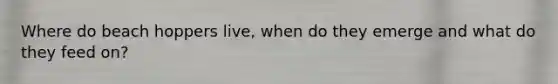Where do beach hoppers live, when do they emerge and what do they feed on?