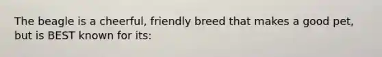 The beagle is a cheerful, friendly breed that makes a good pet, but is BEST known for its: