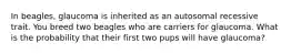 In beagles, glaucoma is inherited as an autosomal recessive trait. You breed two beagles who are carriers for glaucoma. What is the probability that their first two pups will have glaucoma?