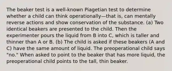 The beaker test is a well-known Piagetian test to determine whether a child can think operationally—that is, can mentally reverse actions and show conservation of the substance. (a) Two identical beakers are presented to the child. Then the experimenter pours the liquid from B into C, which is taller and thinner than A or B. (b) The child is asked if these beakers (A and C) have the same amount of liquid. The preoperational child says "no." When asked to point to the beaker that has more liquid, the preoperational child points to the tall, thin beaker.