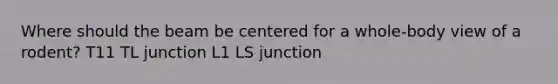 Where should the beam be centered for a whole-body view of a rodent? T11 TL junction L1 LS junction