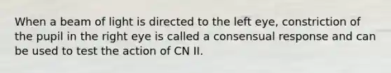 When a beam of light is directed to the left eye, constriction of the pupil in the right eye is called a consensual response and can be used to test the action of CN II.