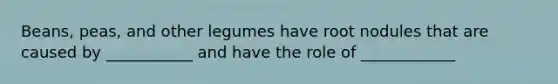 Beans, peas, and other legumes have root nodules that are caused by ___________ and have the role of ____________