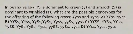 In beans yellow (Y) is dominant to green (y) and smooth (S) is dominant to wrinkled (s). What are the possible genotypes for the offspring of the following cross: Yyss and Yyss. A) YYss, yyss B) YYSs, YYss, YySs,YySs, Yyss, yySs, yyss C) YYSS, YYSs, YYss, YySS, YySs,YySs, Yyss, yySS, yySs, yyss D) YYss, Yyss, yyss