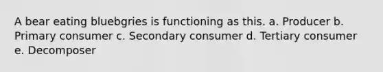 A bear eating bluebgries is functioning as this. a. Producer b. Primary consumer c. Secondary consumer d. Tertiary consumer e. Decomposer