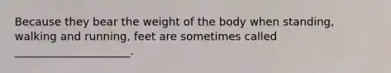 Because they bear the weight of the body when standing, walking and running, feet are sometimes called _____________________.