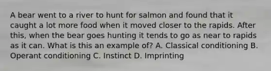 A bear went to a river to hunt for salmon and found that it caught a lot more food when it moved closer to the rapids. After this, when the bear goes hunting it tends to go as near to rapids as it can. What is this an example of? A. <a href='https://www.questionai.com/knowledge/kI6awfNO2B-classical-conditioning' class='anchor-knowledge'>classical conditioning</a> B. <a href='https://www.questionai.com/knowledge/kcaiZj2J12-operant-conditioning' class='anchor-knowledge'>operant conditioning</a> C. Instinct D. Imprinting