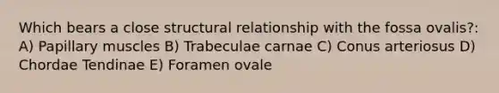 Which bears a close structural relationship with the fossa ovalis?: A) Papillary muscles B) Trabeculae carnae C) Conus arteriosus D) Chordae Tendinae E) Foramen ovale