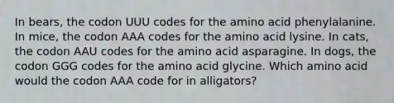 In bears, the codon UUU codes for the amino acid phenylalanine. In mice, the codon AAA codes for the amino acid lysine. In cats, the codon AAU codes for the amino acid asparagine. In dogs, the codon GGG codes for the amino acid glycine. Which amino acid would the codon AAA code for in alligators?