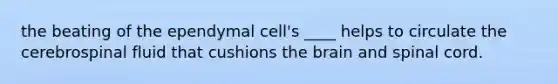 the beating of the ependymal cell's ____ helps to circulate the cerebrospinal fluid that cushions the brain and spinal cord.