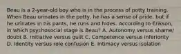 Beau is a 2-year-old boy who is in the process of potty training. When Beau urinates in the potty, he has a sense of pride, but if he urinates in his pants, he runs and hides. According to Erikson, in which psychosocial stage is Beau? A. Autonomy versus shame/ doubt B. Initiative versus guilt C. Competence versus inferiority D. Identity versus role confusion E. Intimacy versus isolation