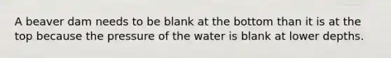 A beaver dam needs to be blank at the bottom than it is at the top because the pressure of the water is blank at lower depths.