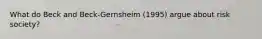 What do Beck and Beck-Gernsheim (1995) argue about risk society?