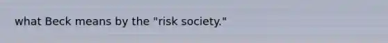 what Beck means by the "risk society."