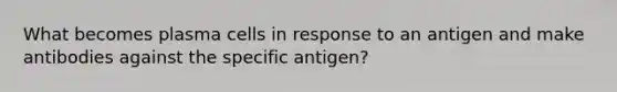 What becomes plasma cells in response to an antigen and make antibodies against the specific antigen?