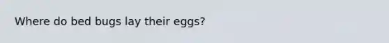 Where do bed bugs lay their eggs?