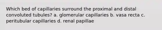 Which bed of capillaries surround the proximal and distal convoluted tubules? a. glomerular capillaries b. vasa recta c. peritubular capillaries d. renal papillae