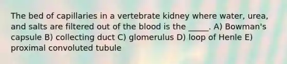 The bed of capillaries in a vertebrate kidney where water, urea, and salts are filtered out of the blood is the _____. A) Bowman's capsule B) collecting duct C) glomerulus D) loop of Henle E) proximal convoluted tubule