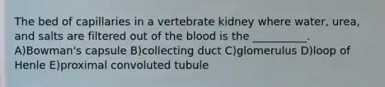 The bed of capillaries in a vertebrate kidney where water, urea, and salts are filtered out of the blood is the __________. A)Bowman's capsule B)collecting duct C)glomerulus D)loop of Henle E)proximal convoluted tubule