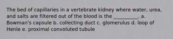 The bed of capillaries in a vertebrate kidney where water, urea, and salts are filtered out of the blood is the __________. a. Bowman's capsule b. collecting duct c. glomerulus d. loop of Henle e. proximal convoluted tubule