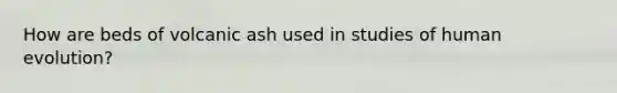 How are beds of volcanic ash used in studies of human evolution?
