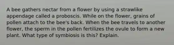 A bee gathers nectar from a flower by using a strawlike appendage called a proboscis. While on the flower, grains of pollen attach to the bee's back. When the bee travels to another flower, the sperm in the pollen fertilizes the ovule to form a new plant. What type of symbiosis is this? Explain.