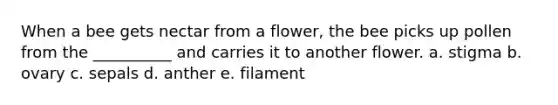 When a bee gets nectar from a flower, the bee picks up pollen from the __________ and carries it to another flower. a. stigma b. ovary c. sepals d. anther e. filament