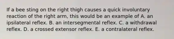 If a bee sting on the right thigh causes a quick involuntary reaction of the right arm, this would be an example of A. an ipsilateral reflex. B. an intersegmental reflex. C. a withdrawal reflex. D. a crossed extensor reflex. E. a contralateral reflex.