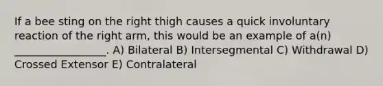 If a bee sting on the right thigh causes a quick involuntary reaction of the right arm, this would be an example of a(n) _________________. A) Bilateral B) Intersegmental C) Withdrawal D) Crossed Extensor E) Contralateral