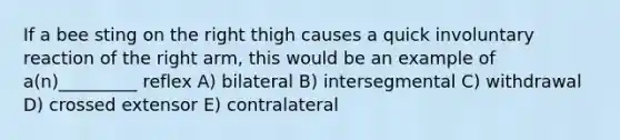 If a bee sting on the right thigh causes a quick involuntary reaction of the right arm, this would be an example of a(n)_________ reflex A) bilateral B) intersegmental C) withdrawal D) crossed extensor E) contralateral