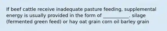 If beef cattle receive inadequate pasture feeding, supplemental energy is usually provided in the form of ___________. silage (fermented green feed) or hay oat grain corn oil barley grain