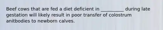 Beef cows that are fed a diet deficient in __________ during late gestation will likely result in poor transfer of colostrum anitbodies to newborn calves.