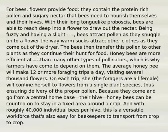 For bees, flowers provide food: they contain the protein-rich pollen and sugary nectar that bees need to nourish themselves and their hives. With their long tonguelike proboscis, bees are able to reach deep into a flower to draw out the nectar. Being fuzzy and having a slight ----, bees attract pollen as they snuggle up to a flower the way warm socks attract other clothes as they come out of the dryer. The bees then transfer this pollen to other plants as they continue their hunt for food. Honey bees are more efficient at ----than many other types of pollinators, which is why farmers have come to depend on them. The average honey bee will make 12 or more foraging trips a day, visiting several thousand flowers. On each trip, she (the foragers are all female) will confine herself to flowers from a single plant species, thus ensuring delivery of the proper pollen. Because they come and go from a central home base—their hive—honey bees can be counted on to stay in a fixed area around a crop. And with roughly 40,000 individual bees per hive, this is a versatile workforce that's also easy for beekeepers to transport from crop to crop.