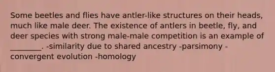 Some beetles and flies have antler-like structures on their heads, much like male deer. The existence of antlers in beetle, fly, and deer species with strong male-male competition is an example of ________. -similarity due to shared ancestry -parsimony -convergent evolution -homology