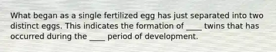 What began as a single fertilized egg has just separated into two distinct eggs. This indicates the formation of ____ twins that has occurred during the ____ period of development.