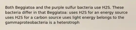 Both Beggiatoa and the purple sulfur bacteria use H2S. These bacteria differ in that Beggiatoa: uses H2S for an energy source uses H2S for a carbon source uses light energy belongs to the gammaproteobacteria is a heterotroph