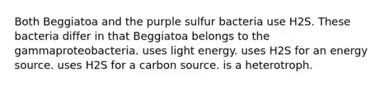 Both Beggiatoa and the purple sulfur bacteria use H2S. These bacteria differ in that Beggiatoa belongs to the gammaproteobacteria. uses light energy. uses H2S for an energy source. uses H2S for a carbon source. is a heterotroph.