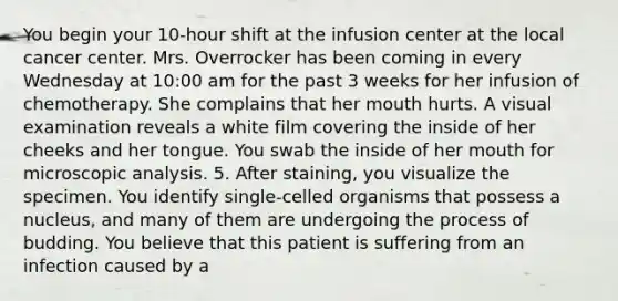 You begin your 10-hour shift at the infusion center at the local cancer center. Mrs. Overrocker has been coming in every Wednesday at 10:00 am for the past 3 weeks for her infusion of chemotherapy. She complains that her mouth hurts. A visual examination reveals a white film covering the inside of her cheeks and her tongue. You swab the inside of her mouth for microscopic analysis. 5. After staining, you visualize the specimen. You identify single-celled organisms that possess a nucleus, and many of them are undergoing the process of budding. You believe that this patient is suffering from an infection caused by a