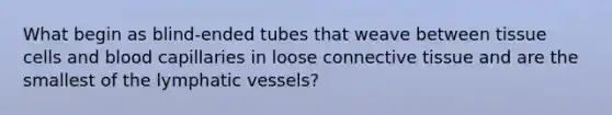 What begin as blind-ended tubes that weave between tissue cells and blood capillaries in loose <a href='https://www.questionai.com/knowledge/kYDr0DHyc8-connective-tissue' class='anchor-knowledge'>connective tissue</a> and are the smallest of the <a href='https://www.questionai.com/knowledge/ki6sUebkzn-lymphatic-vessels' class='anchor-knowledge'>lymphatic vessels</a>?