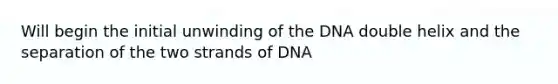 Will begin the initial unwinding of the DNA double helix and the separation of the two strands of DNA