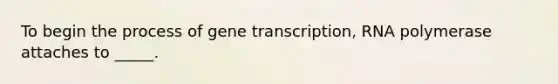 To begin the process of gene transcription, RNA polymerase attaches to _____.