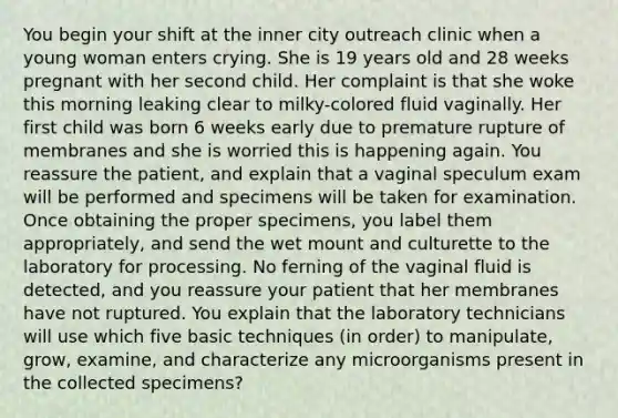 You begin your shift at the inner city outreach clinic when a young woman enters crying. She is 19 years old and 28 weeks pregnant with her second child. Her complaint is that she woke this morning leaking clear to milky-colored fluid vaginally. Her first child was born 6 weeks early due to premature rupture of membranes and she is worried this is happening again. You reassure the patient, and explain that a vaginal speculum exam will be performed and specimens will be taken for examination. Once obtaining the proper specimens, you label them appropriately, and send the wet mount and culturette to the laboratory for processing. No ferning of the vaginal fluid is detected, and you reassure your patient that her membranes have not ruptured. You explain that the laboratory technicians will use which five basic techniques (in order) to manipulate, grow, examine, and characterize any microorganisms present in the collected specimens?