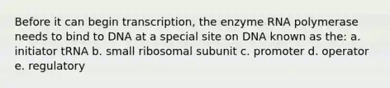 Before it can begin transcription, the enzyme RNA polymerase needs to bind to DNA at a special site on DNA known as the: a. initiator tRNA b. small ribosomal subunit c. promoter d. operator e. regulatory