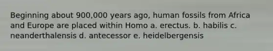 Beginning about 900,000 years ago, human fossils from Africa and Europe are placed within Homo a. erectus. b. habilis c. neanderthalensis d. antecessor e. heidelbergensis